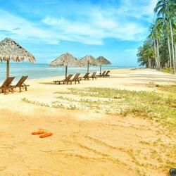 Repose ocean sound to calm