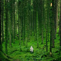 Smooth comfy brown noise