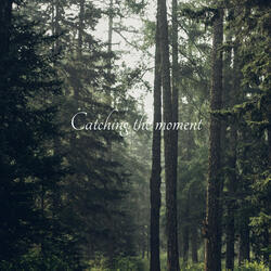 Priority of a Stillness