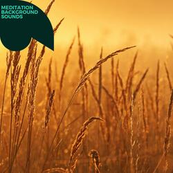 Music for Healer's Meditation