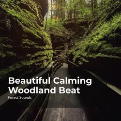 Dreamy Jungle Tune
