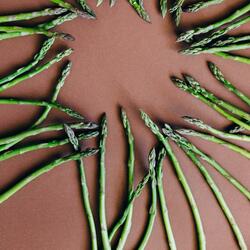 Bendición ventilador relajante sonido