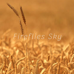 Skies Floating for Being Still