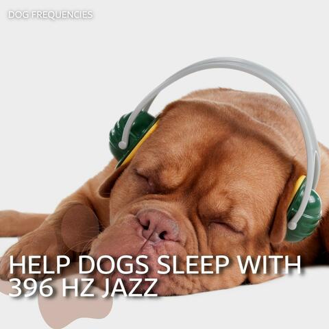 Help Dogs Sleep with 396 Hz Jazz