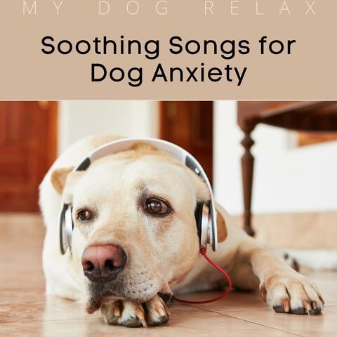 Soothing Songs for Dog Anxiety