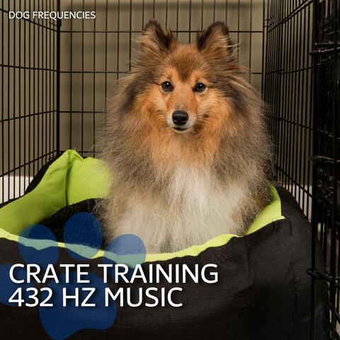 Crate Training 432 Hz Music
