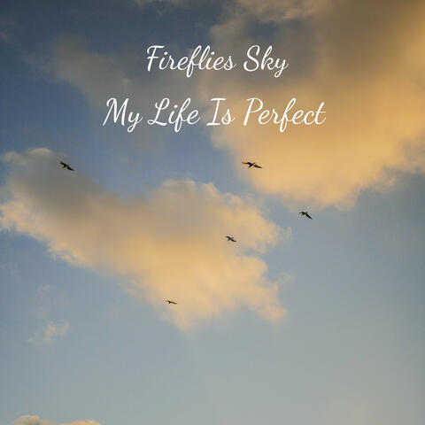 My Life Is Perfect