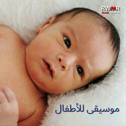 الطيور الصغيرة الملونة