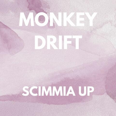 SCIMMIA UP