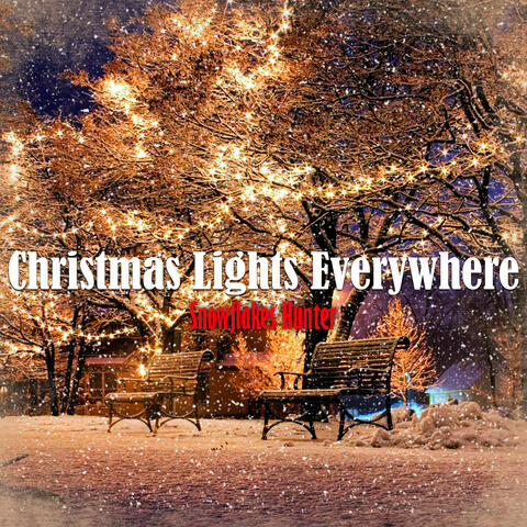 Christmas Lights Everywhere