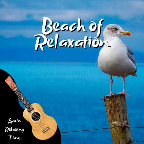 Beach of Relaxation