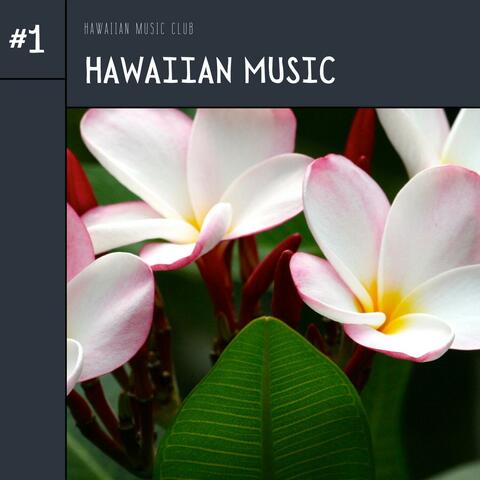 Hawaiian Music - Ukulele and Rain Sounds