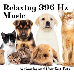 Dog Spa Music