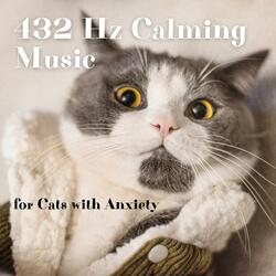Relaxing Music for Cats