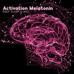 Mind Reprogramming Before Sleep