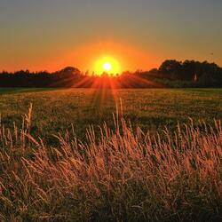 ASMR sömnljud för spädbarn
