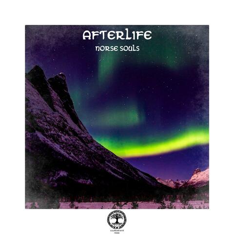 Afterlife