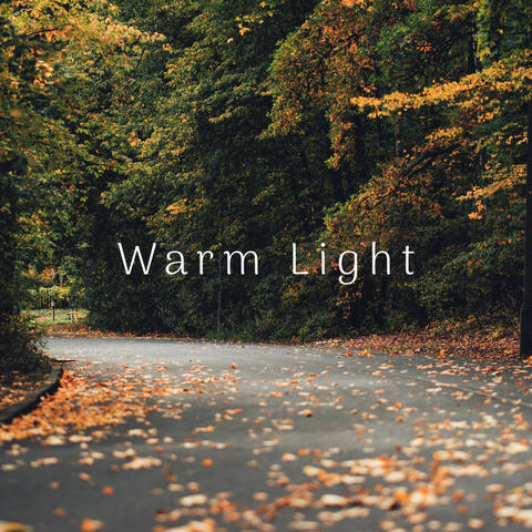 Ambience of Tones Lights