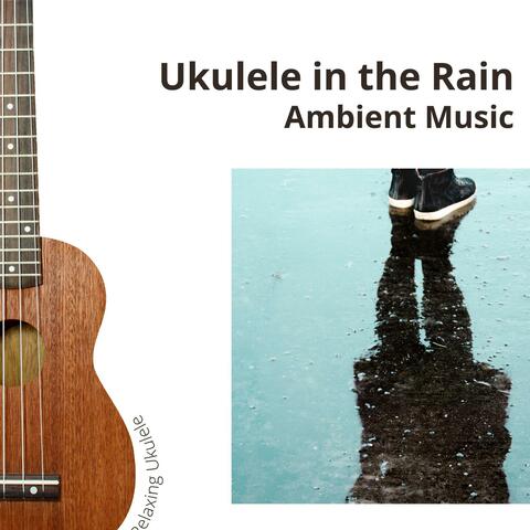 Ukulele in the Rain, Ambient Music