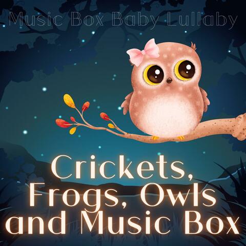 Crickets, Frogs, Owls and Music Box
