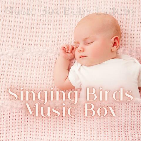 Singing Birds Music Box (Soft Wind)