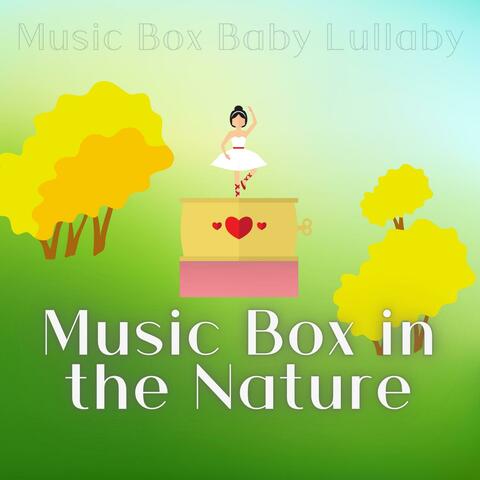 Music Box in the Nature