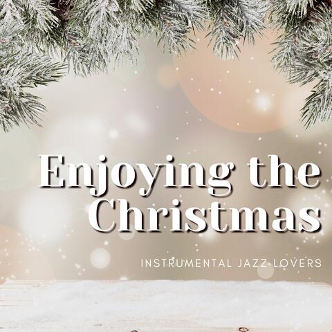 Enjoying the Christmas