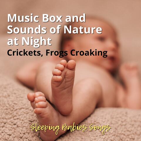 Music Box and Sounds of Nature at Night, Crickets, Frogs Croaking