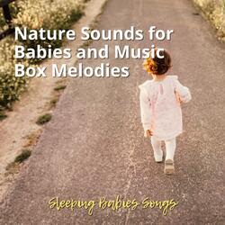 Home - Soft Nature Sounds