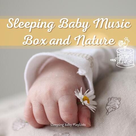 Sleeping Baby Music Box and Nature