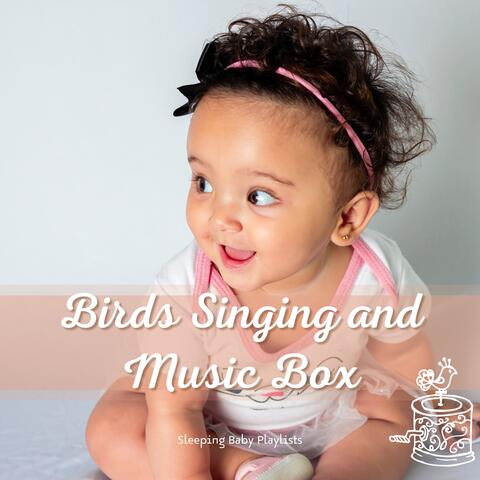 Birds Singing and Music Box