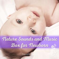 Let Her Go, Nature ASMR