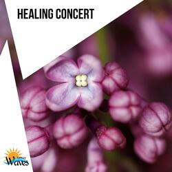 Beauty Spa (Therapeutic Melodies)