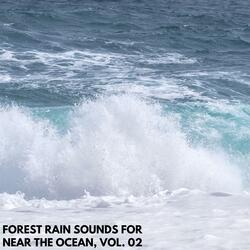 Relaxing Ambient Crackles