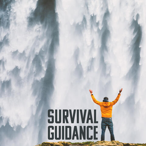 Survival Guidance