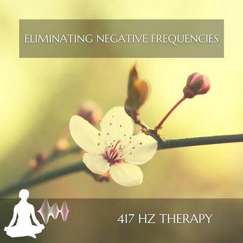 Eliminating Negative Frequencies