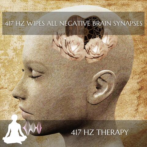 417 Hz Wipes All Negative Brain Synapses