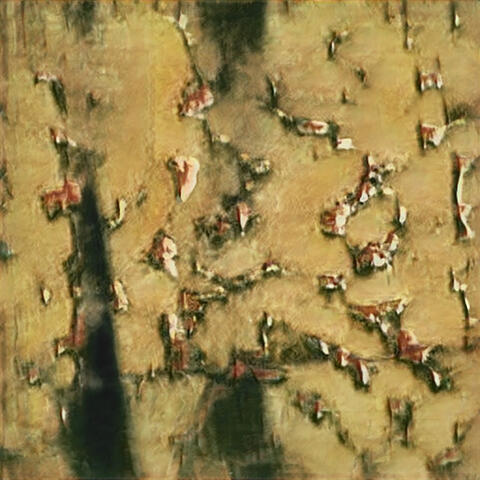 Patterns of Life