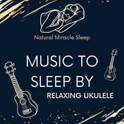 Sleep Ukulele - Iceland - Night Sound