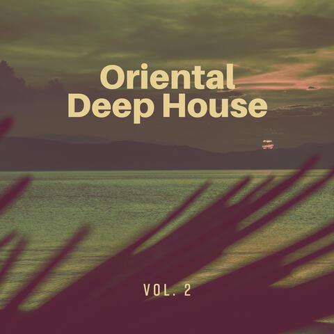 Oriental Deep House: Vol. 2, Tropical House, Hawaiian Chillout Lounge, Delightful Chillout & Mellow House Music, Long Time Relaxation, Dance Chill Out