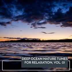 Night Serenity Oceanic Mountain