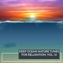 Spring Waves