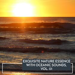 The Delightful Ocean