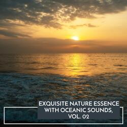 Splendid by the Waves