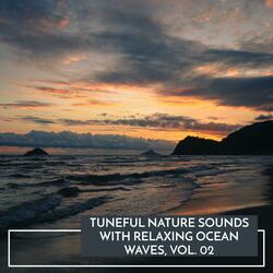 The Indian Ocean Waves