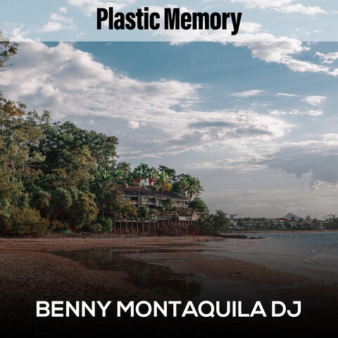 Plastic Memory