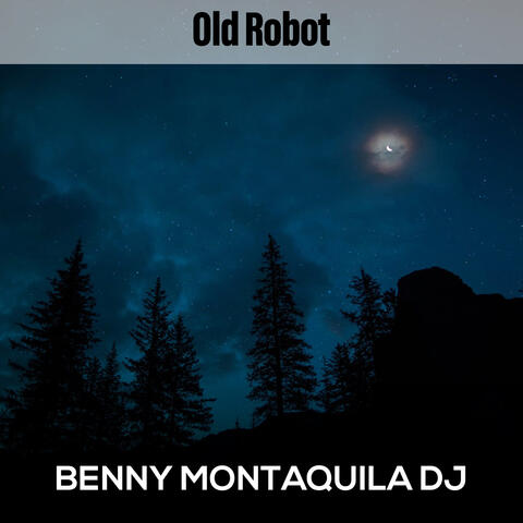 Old Robot