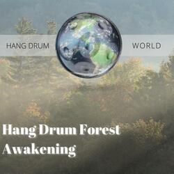 Light of Dawn (with Forest Sound)