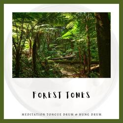 When the Wind Talks, Forest Sound