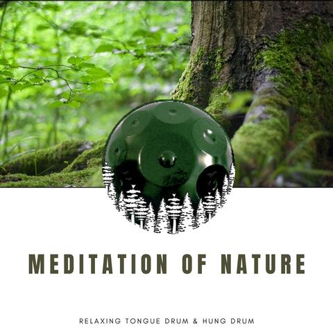 Meditation of Nature